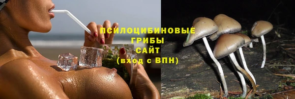 прущий лед Вяземский