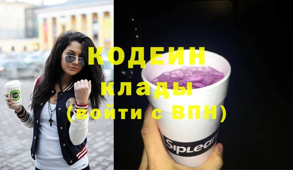 прущий лед Вяземский