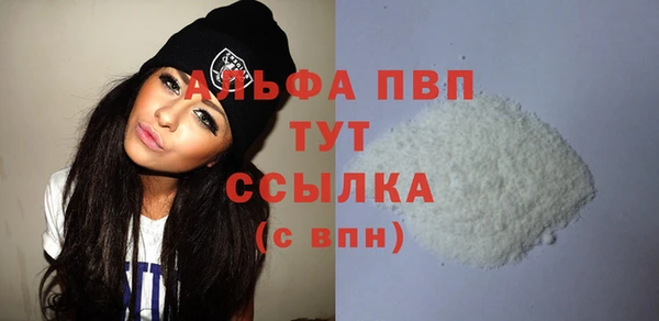 прущий лед Вяземский