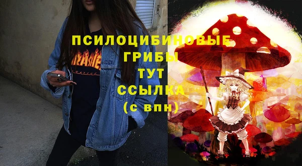 прущий лед Вяземский