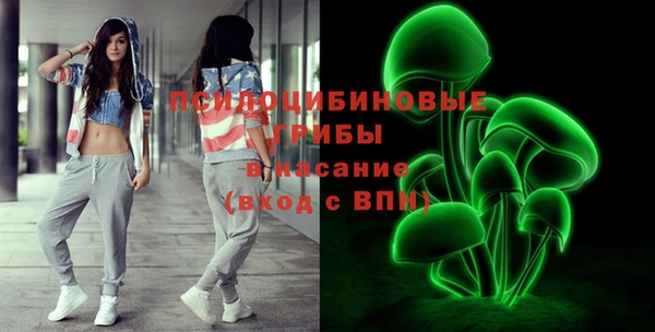 хмурый Вязники