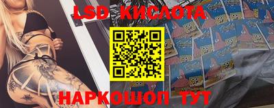 мдпв Шебекино