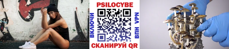 Галлюциногенные грибы Psilocybine cubensis  продажа наркотиков  Ноябрьск 