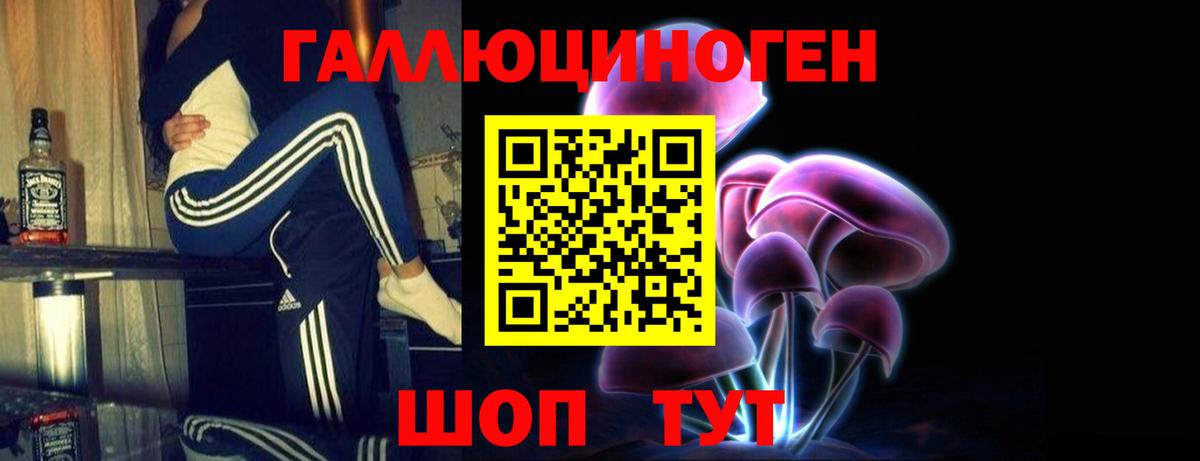Галлюциногенные грибы Cubensis  Вход с VPN  Галлюциногенные грибы прущие грибы  Ноябрьск 